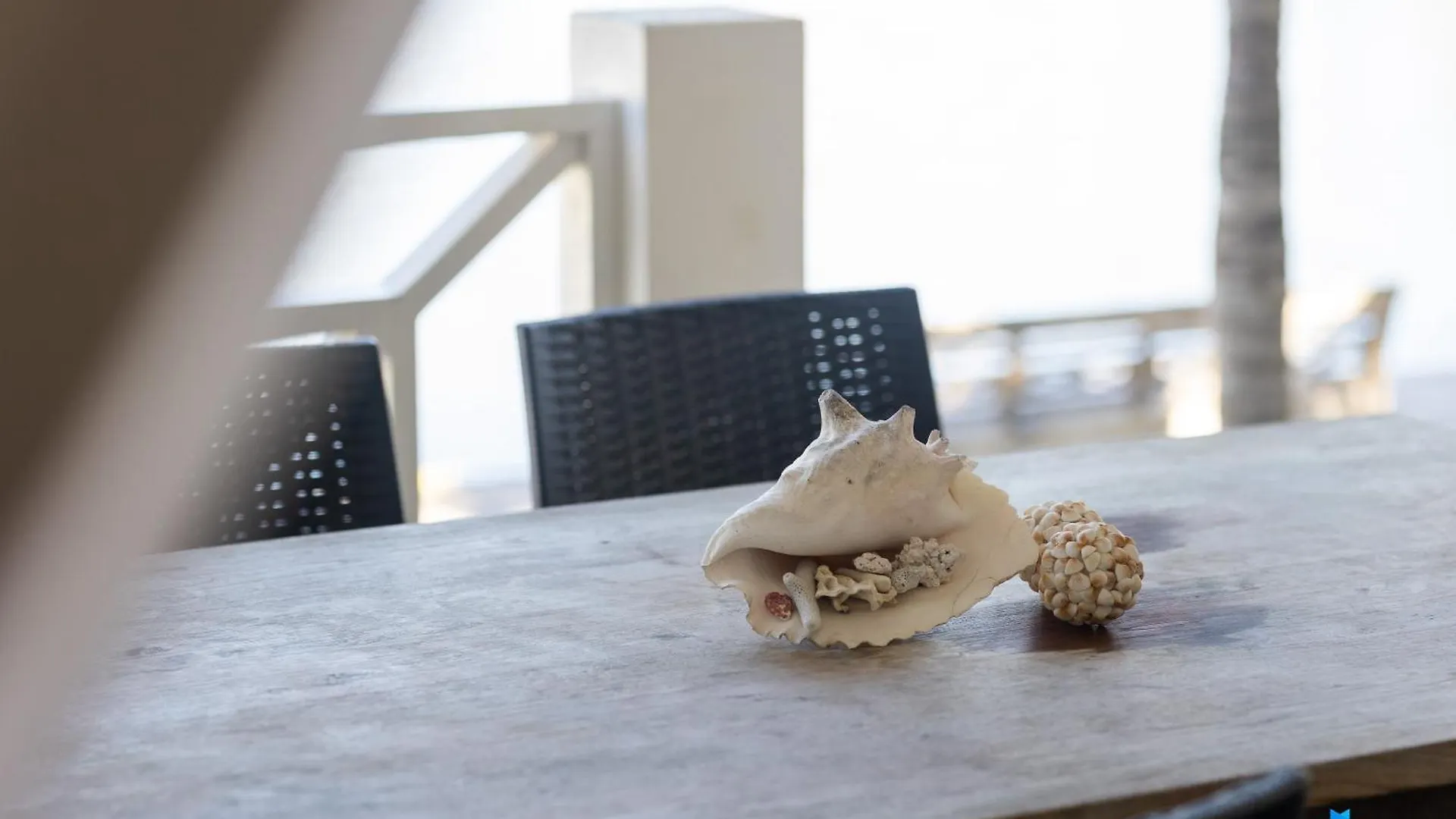 Caribbean Lofts Bonaire Διαμέρισμα Κράλεντικ Μποναίρ, Άγιος Ευστάθιος και Σάμπα